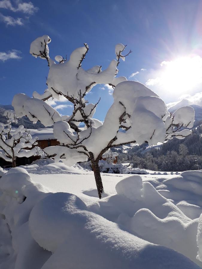 Haus Gmahblick Ferienwonungen Alpbach Exterior foto