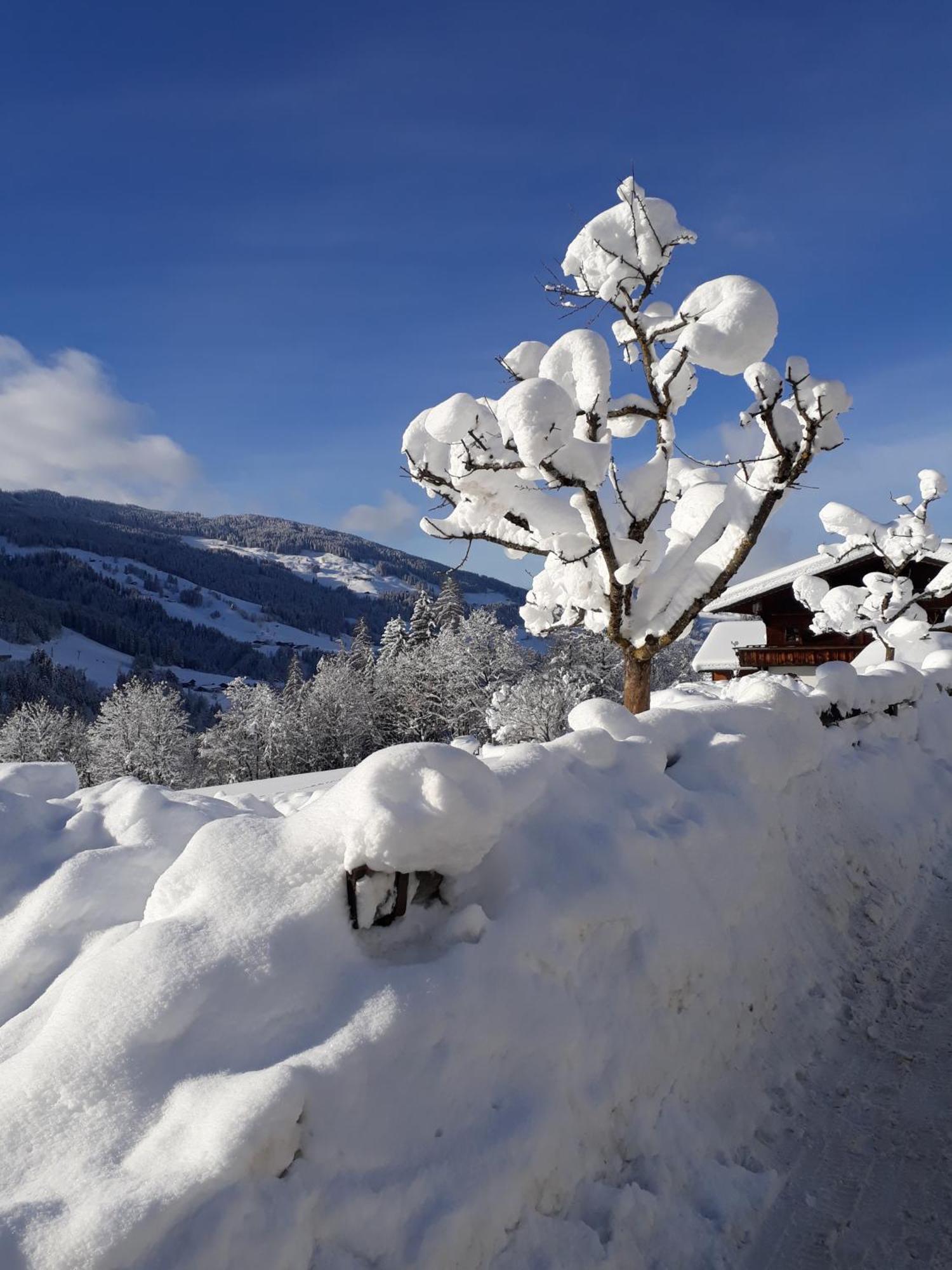 Haus Gmahblick Ferienwonungen Alpbach Exterior foto