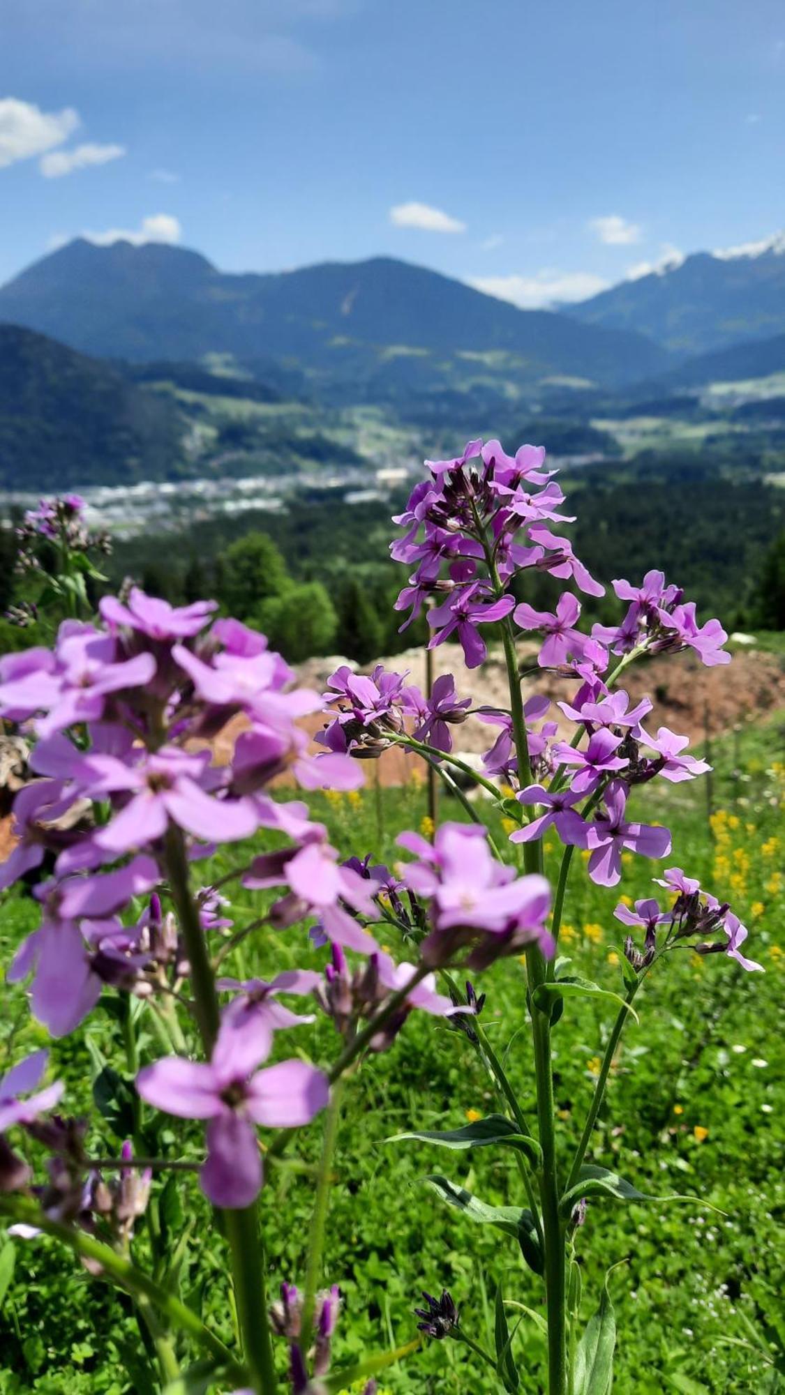 Haus Gmahblick Ferienwonungen Alpbach Exterior foto